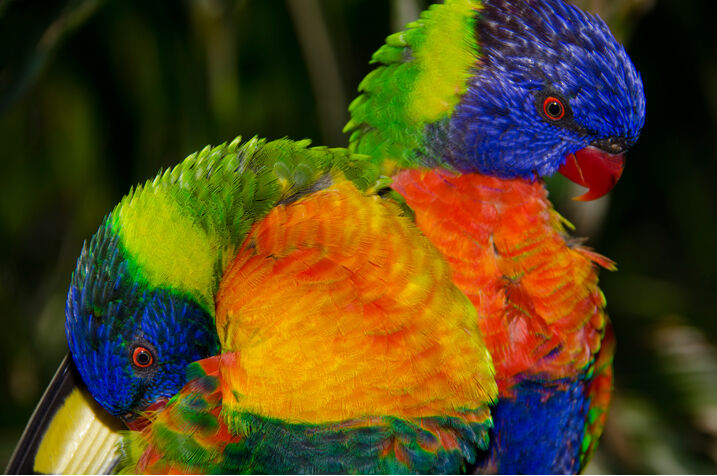 जान लीजिए, आधार और PAN लिंक करने की सच्चाई ये है