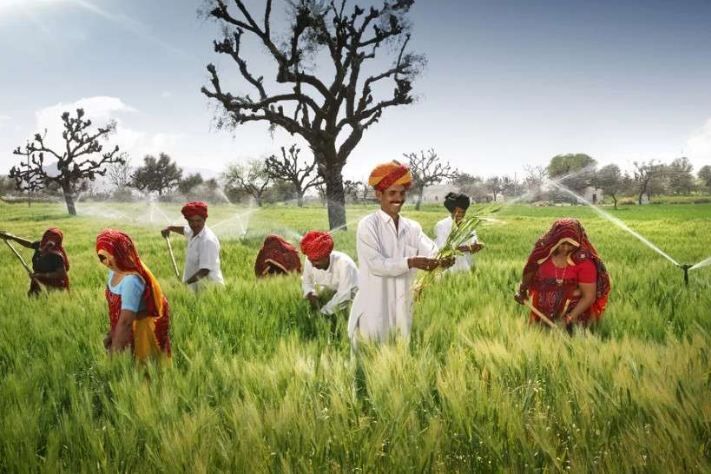 अब इस पार्टी ने किसानों से किया बड़ा वादा, सत्‍ता में आए तो मुफ्त देंगे बिजली