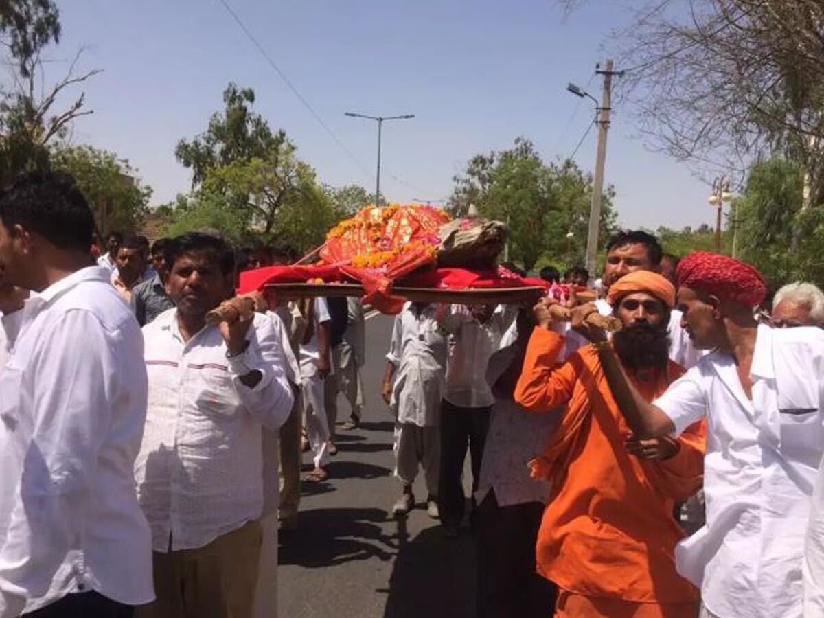 सरहदी जिलों में गायों की बड़े पैमाने पर मौत: राजस्थान सरहदी जिलों में गायों की बड़े पैमाने पर मौत: राजस्थान