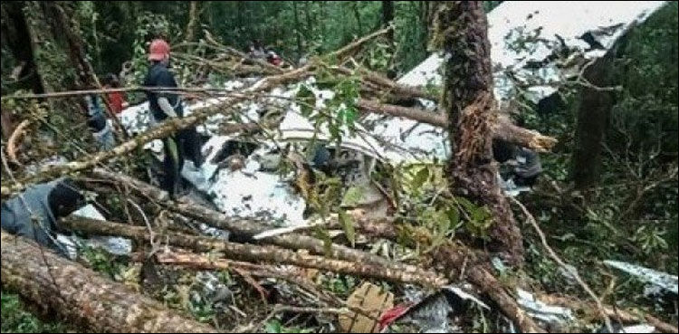 इंडोनेशिया में विमान दुर्घटना में आठ की मौत, सिर्फ 12 साल का एक बच्चा जिन्दा बचा