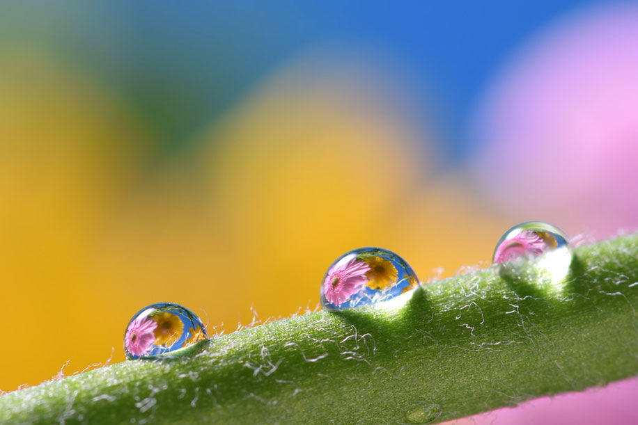 जान लीजिए, आधार और PAN लिंक करने की सच्चाई ये है