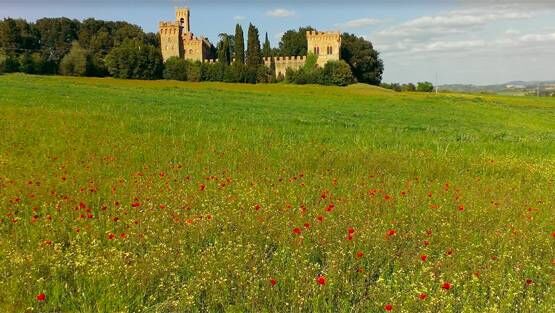 शाही है डाइनिंग हॉल का लुक, विराट के वेडिंग वेन्यू की INSIDE फोटो