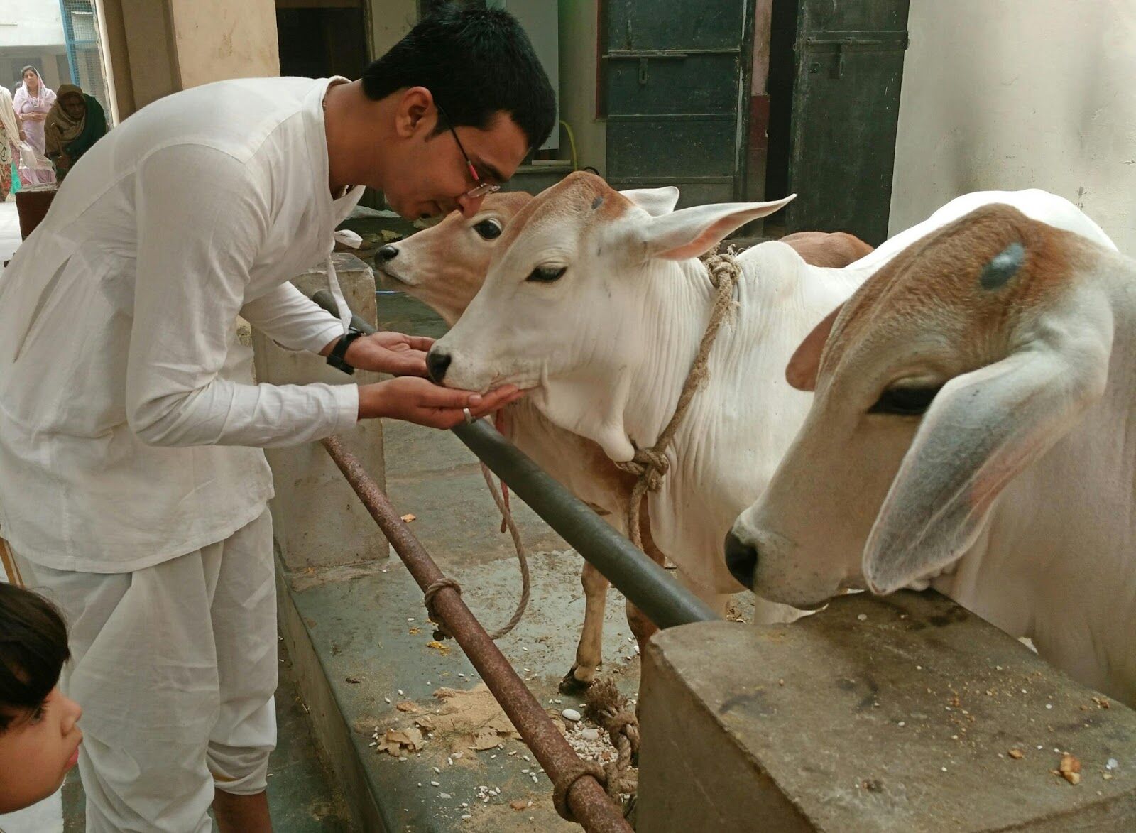 गौ माता के लिए रखे जाने वाले सभी व्रत और उनसे होने वाले लाभ