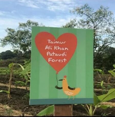 सैफ-करीना के लाडले तैमूर अली खान को मिला बर्थडे पर ऐसा गिफ्ट, चौंके बिना नहीं रह पाएगा कोई