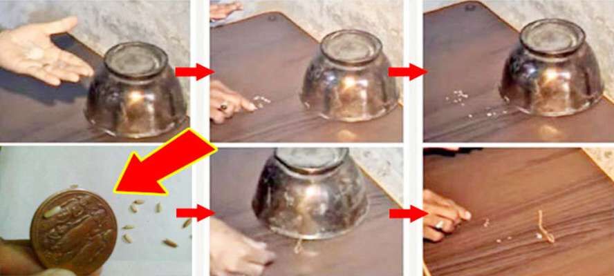 पलभर में अमीर बना रहा है लोगों को तांबे का ये अदभुत टोटका, दुनियाभर में जिसने सुना हर कोई कर रहा है ये टोटका पलभर में अमीर बना रहा है लोगों को तांबे का ये अदभुत टोटका, दुनियाभर में जिसने सुना हर कोई कर रहा है ये टोटका