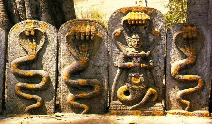 2018 नागपंचमी व्रत पूजन कथाः इसलिए होती है नाग की पूजा, मिलता है यह लाभ