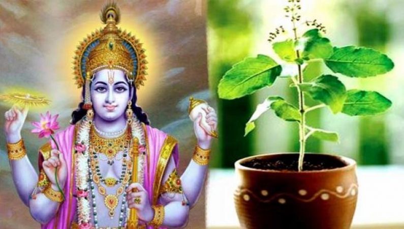 देवउठनी एकादशी पर जरूर गाये माँ तुलसी की यह आरती