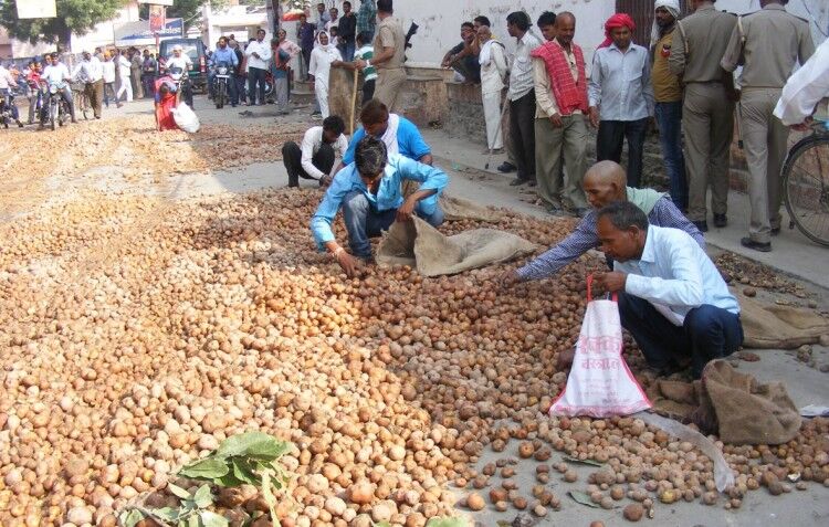 उत्तराखंड, हिमाचल व जम्मू-कश्मीर के किसान एक दूसरे को नहीं बेच पाएंगे आलू