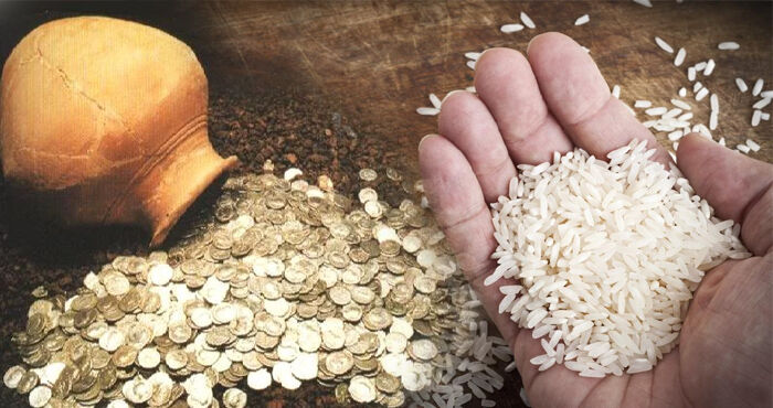 पैसों की है सख्त जरूरत तो चावल का ये उपाय आपकी मदद कर सकता है