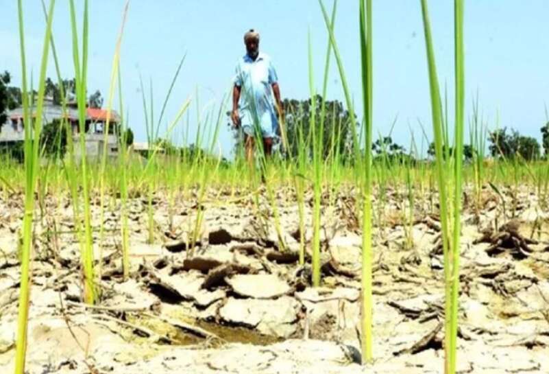 मोदी के लिए 2019 में सत्ता की चुनौती बन रहे किसानों को साधने की तैयारी में जुटा आरएसएस