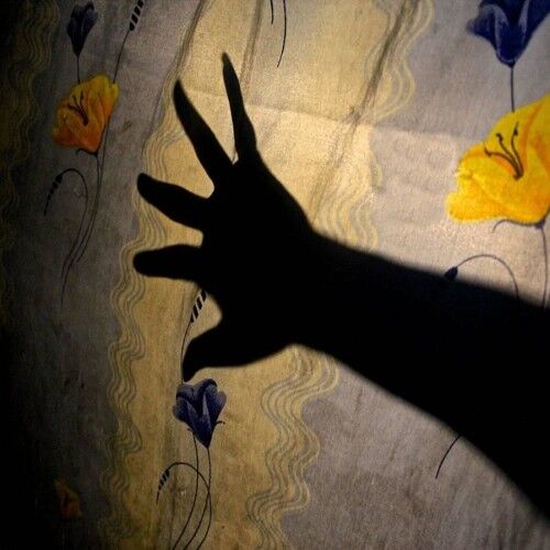 ये है एशिया का सबसे बड़ा रेड लाइट एरिया, यहां पैदा होते ही लड़कियों की हो जाती है ऐसी जिंदगी