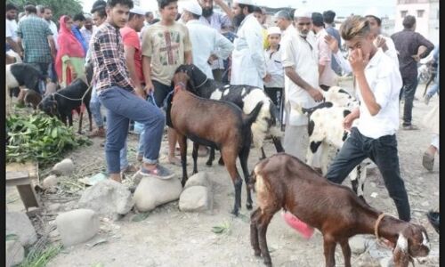 उत्तराखंड: ईद पर खुले में कुर्बानी पर हाईकोर्ट द्वारा लगाई रोक का नहीं दिखा कुछ खास असर उत्तराखंड: ईद पर खुले में कुर्बानी पर हाईकोर्ट द्वारा लगाई रोक का नहीं दिखा कुछ खास असर