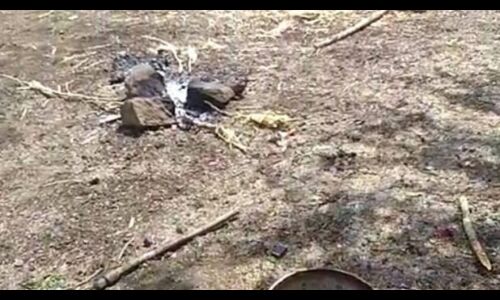 पुणे: वन परिक्षेत्र में चिंकारा हिरण की मौत, पास में ही चल रही थी पार्टी