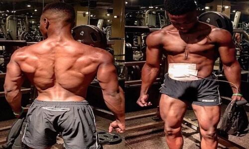 यह मॉडल शरीर के अंदर नहीं बैग में लेकर चलता है अपना दिल