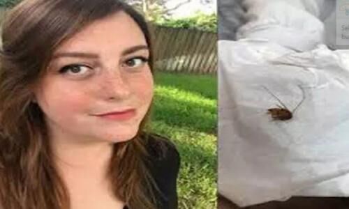 9 दिन तक महिला के कान में घुसा रहा ये खतरनाक जीव