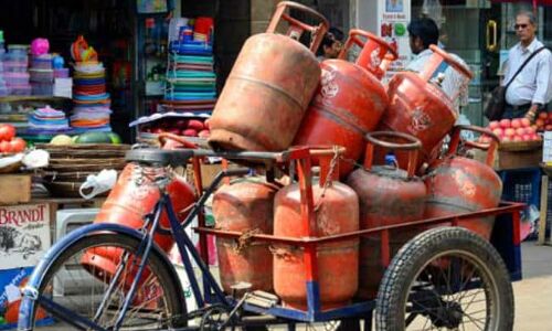 MP: प्रधानमंत्री उज्ज्वला योजना के तहत गैस कनेक्शन के साथ फलदार पौधों का वितरण