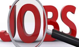 अपर डिविजन क्लर्क के पदों पर 12वीं, स्नातक पास, जल्दी करें आवेदन... अपर डिविजन क्लर्क के पदों पर 12वीं, स्नातक पास, जल्दी करें आवेदन...