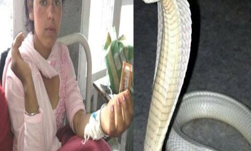 34 बार सांप के काटने के बाद भी जिंदा है ये लड़की, रहस्य बनी इसकी जिंदगी