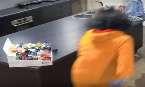 जब शेर पहुँचा चॉकलेट चुराने