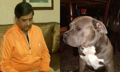 नोएडा: चाकू की नोक पर कुत्ता हुआ किडनैप, मालिक ने रखा 50 हजार का इनाम