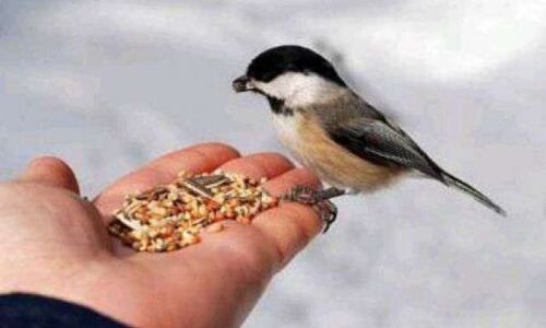 गलती से किए महापाप से मुक्ति दिला देंगे यह 5 काम