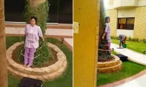 फर्नीचर को धूप में छोड़ने की ऐसी मिली नौकरानी को सजा...