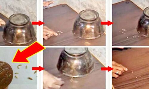 पलभर में अमीर बना रहा है लोगों को तांबे का ये अदभुत टोटका, दुनियाभर में जिसने सुना हर कोई कर रहा है ये टोटका पलभर में अमीर बना रहा है लोगों को तांबे का ये अदभुत टोटका, दुनियाभर में जिसने सुना हर कोई कर रहा है ये टोटका