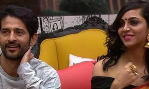 बिग बॉस 11 के बाद एकता कपूर के शो में साथ नजर आएंगे हितेन और अर्शी!