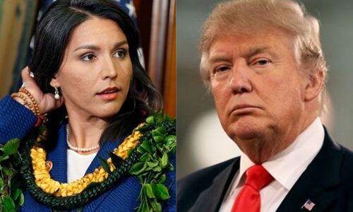 2020 के राष्ट्रपति चुनाव में डोनाल्ड ट्रंप को चुनौती देंगी अमेरिका की पहली हिंदू सांसद तुलसी गबार्ड