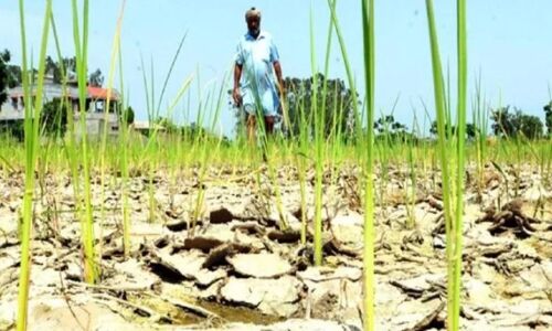 मोदी के लिए 2019 में सत्ता की चुनौती बन रहे किसानों को साधने की तैयारी में जुटा आरएसएस