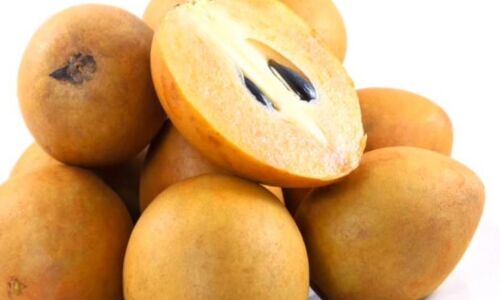 चीकू खाने के फायदे हैं जबरदस्त, अभी जाने चीकू खाने के फायदे हैं जबरदस्त, अभी जाने