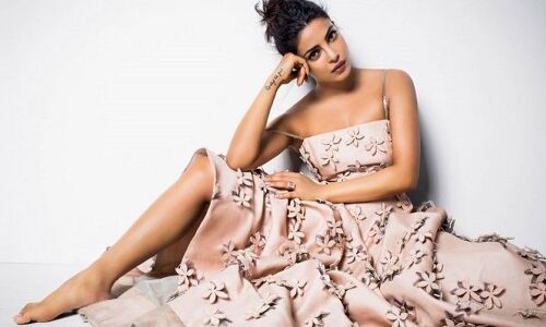 प्रियंका ने सलमान के जीजा को दी लवरात्रि की बधाई, क्या चिढ़ाने के लिए ऐसा किया?