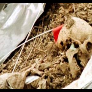 गुजरात में निठारी जैसा कांड, मां-बेटी पर 10 गायब बच्चों की हत्या का शक