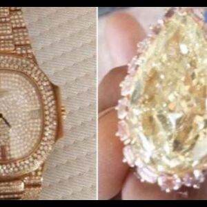 नीरव मोदी के ठिकाने से अबतक 7,638 करोड़ की जब्ती, महंगी घड़ियां और पेंटिंग्स भी कब्जे में