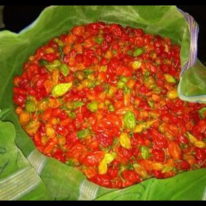 तो ये है दुनिया की सबसे तीखी मिर्ची