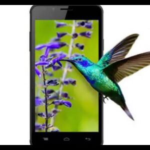 Jio ऑफर के साथ Intex का नया स्मार्टफोन लॉन्च, कीमत 5,499 रुपये