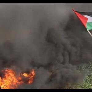 गाजा पट्टी में भड़की हिंसा, 8 फिलिस्तीनियों की मौत, 1 हजार से ज्यादा घायल