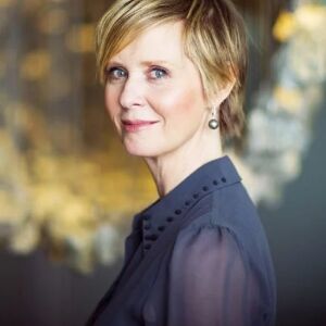 सेक्स एण्ड सिटी स्टार सिंथिया हो सकती हैं न्यूयॉर्क की अगली गवर्नर