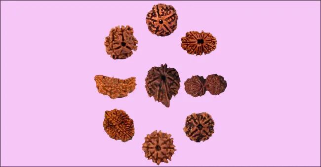 करियर में सफलता के लिए कौन सा रुद्राक्ष है आपके लिए लकी