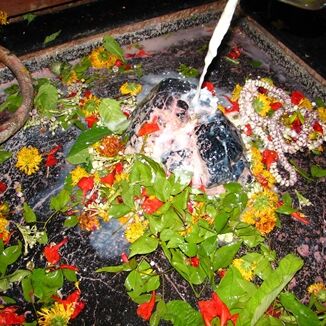 भगवान ओंकारेश्वर ढोल-नगाड़ों के साथ मालवा भ्रमण पर निकले