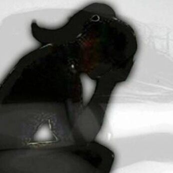 कोच ने महिला खिलाड़ियों संग की रेप की कोशिश, SSP के आदेश पर केस दर्ज