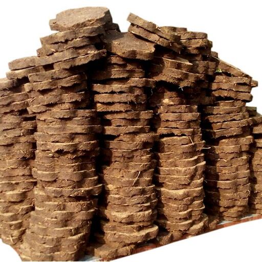 ऑनलाइन उपले बेचकर कमाता है लाखों