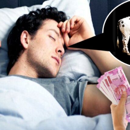 सपने में सफेद गाय दिखे तो होती है धन की प्राप्ति, जानिये चितकबरी गाय दिखने का क्या है मतलब