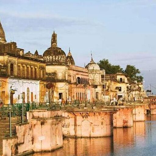 अयोध्या में जब विवादित स्थल पर खुदाई हुई,