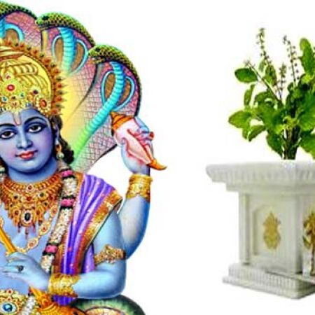 देवउठनी एकादशी पर जरूर पढ़े श्री तुलसी चालीसा