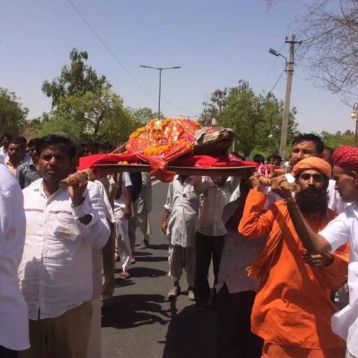 सरहदी जिलों में गायों की बड़े पैमाने पर मौत:  राजस्थान