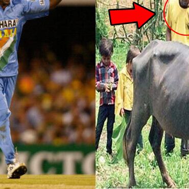 1998 विश्वकप में भारत की जीत का ये हीरो आज भैंस चराने को है मजबूर