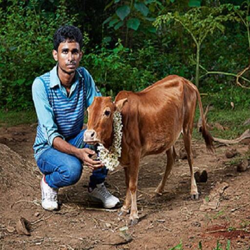 ये है दुनिया की सबसे अनोखी गाय, गिनीज बुक में दर्ज हो चुका है नाम