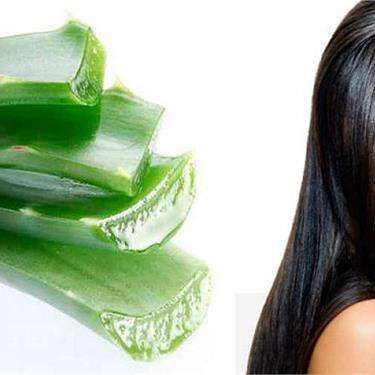 बालों और स्कैल्प के लिए एलोवेरा जेल है, फायदेमंद जानिए कैसे करे इस्तमाल... बालों और स्कैल्प के लिए एलोवेरा जेल है, फायदेमंद जानिए कैसे करे इस्तमाल...