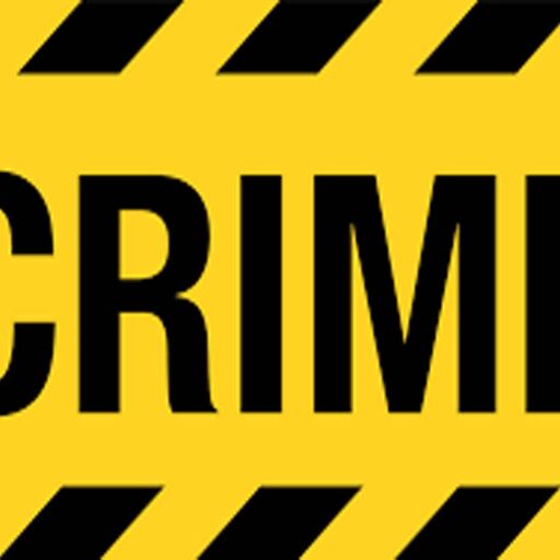 नौकरानी को घर में चोरी करते पकड़ा, पुलिस को सौंपा